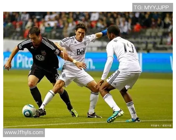 急流与温哥华数据分析对比研究揭示城市发展潜力与挑战 急流与温哥华数据分析对比研究揭示城市发展潜力与挑战