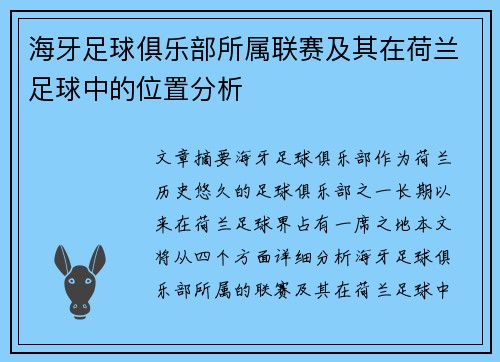 海牙足球俱乐部所属联赛及其在荷兰足球中的位置分析
