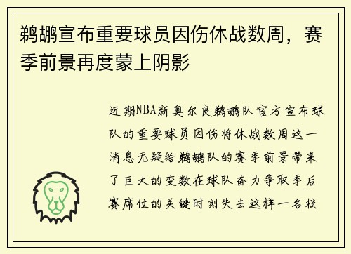 鹈鹕宣布重要球员因伤休战数周，赛季前景再度蒙上阴影