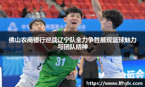 BD半岛官网入口